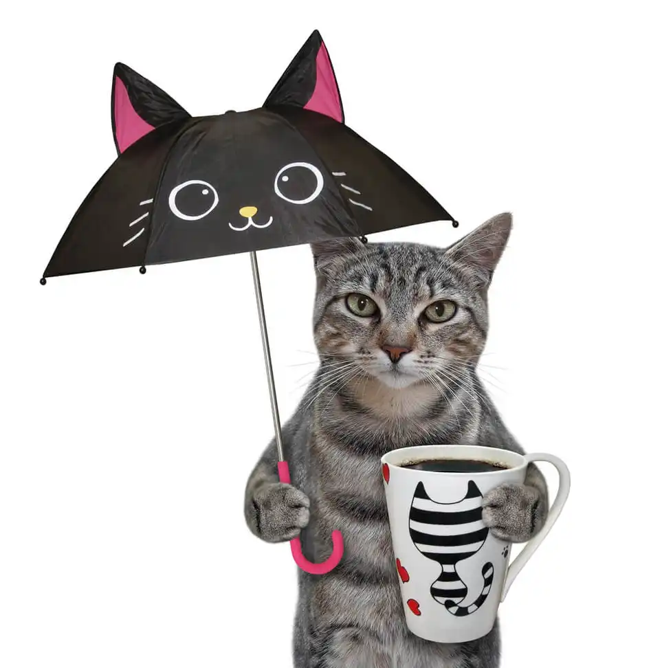 Café: a era da sobriedade