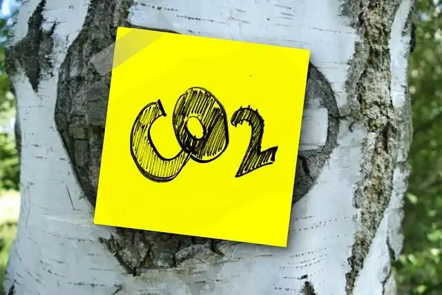 Emissão de CO2 como índice econômico