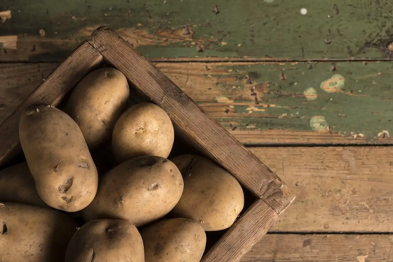 O preço dos alimentos na zona euro