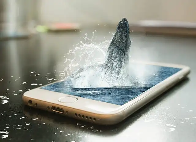 Le film “La baleine” ne parle pas que d'obésité
