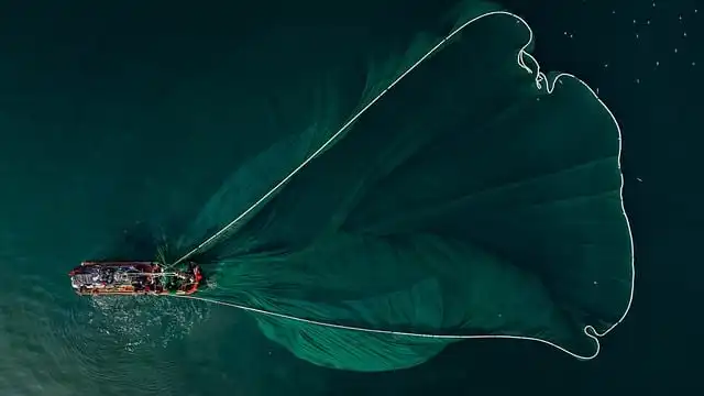 Produtos da pesca: informações aos operadores e consumidores da UE