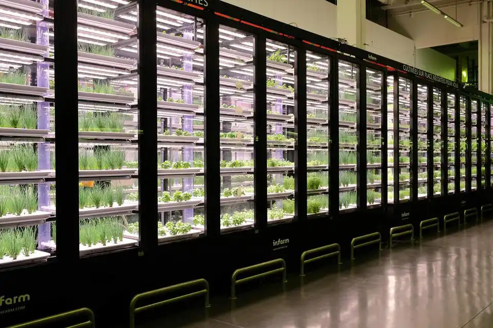 Le premier jardin urbain intérieur en France.