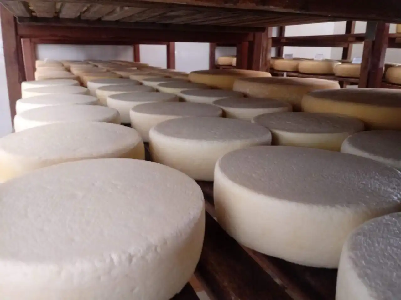 Queijo Minas Artesanal: Uma Joia Brasileira Reconhecida pela UNESCO