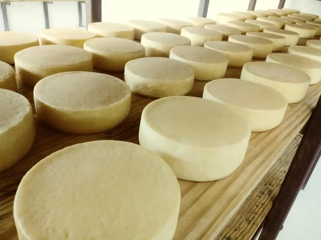 Fromage Minas Artesanal : Un Bijou Brésilien Reconnu par l'UNESCO