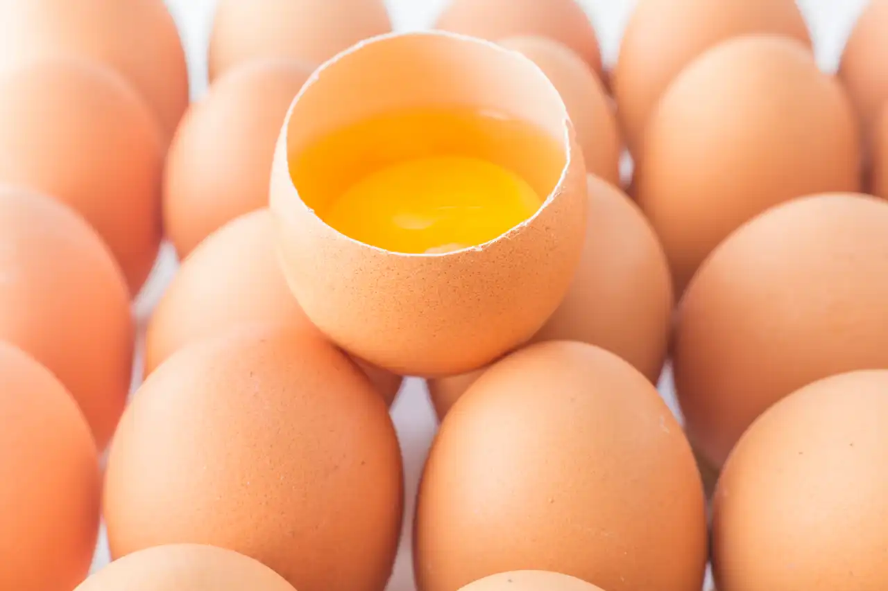 Produits d'oeufs: un élément essentiel dans la cuisine pour les professionnels