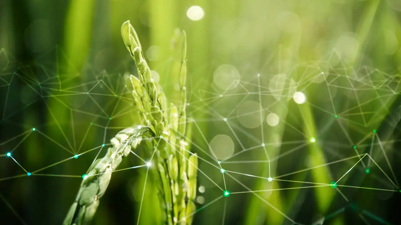 Impact des innovations et des nouvelles technologies sur les systèmes alimentaires