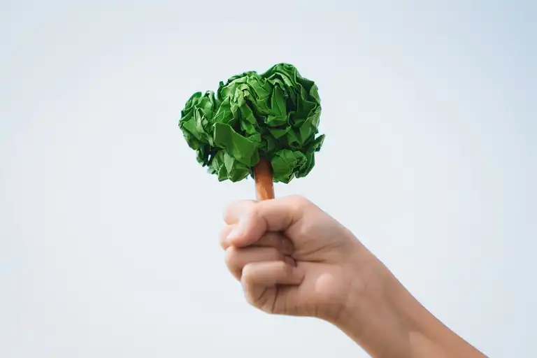 Plan d'action national pour l'alimentation, la nutrition et le climat 2025-2030 - France