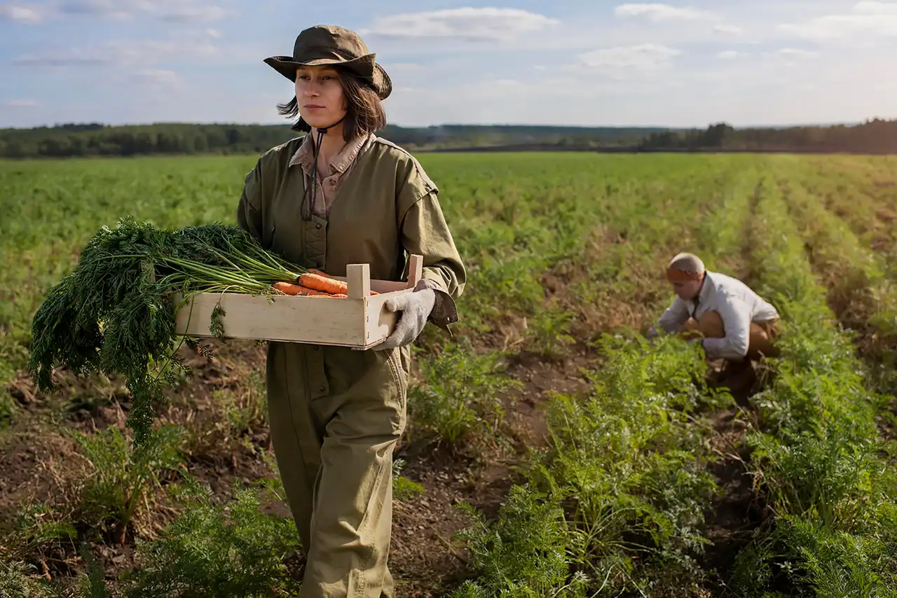 Transparence de la rémunération des producteurs: initiative française
