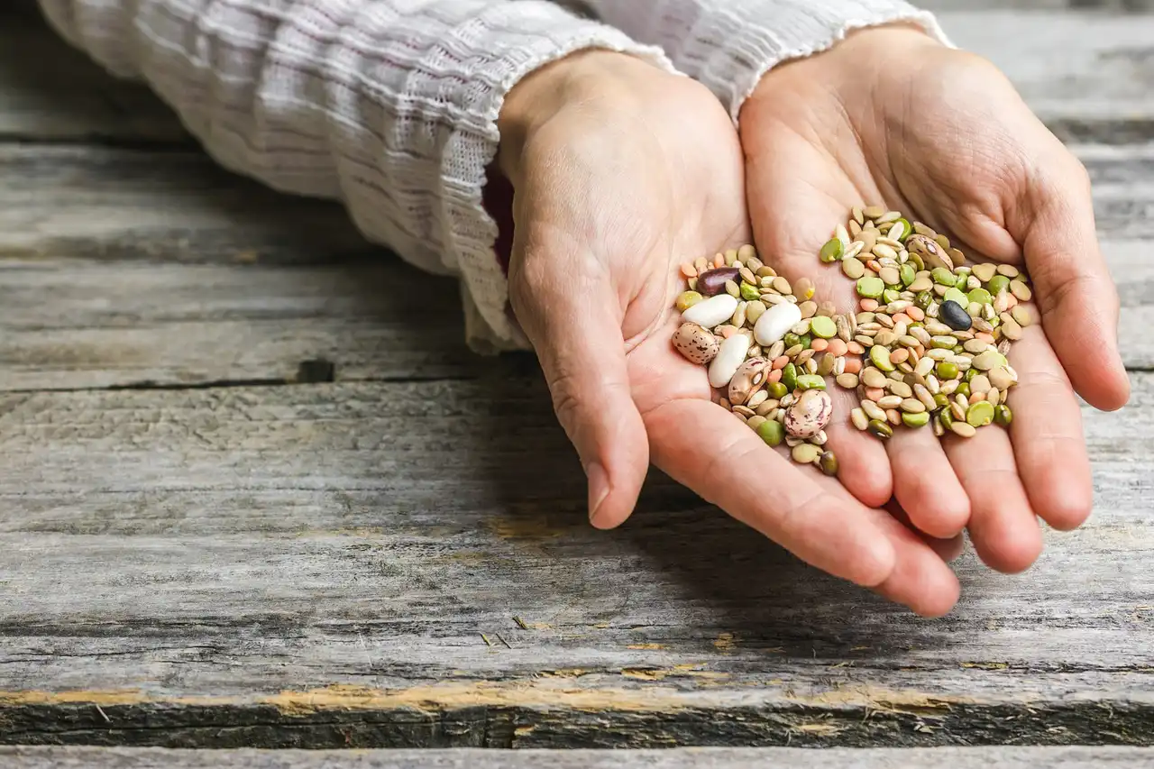 INCREASE: cultiver l'avenir de la diversité alimentaire en Europe