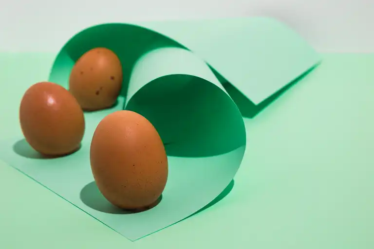 L'œuf circulaire : innovation et durabilité dans la chaîne alimentaire