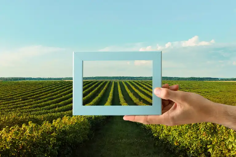 Productivité et durabilité redéfinissent le cours de l'agriculture européenne