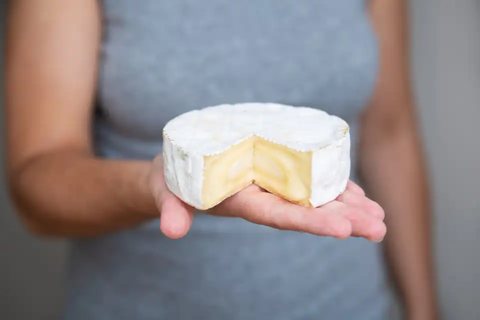 Du goût aux protéines, des protéines à la saveur, du goût aux protéines...