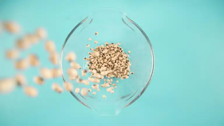 Protéines végétales en 2026: technologie, durabilité et avenir de la nutrition