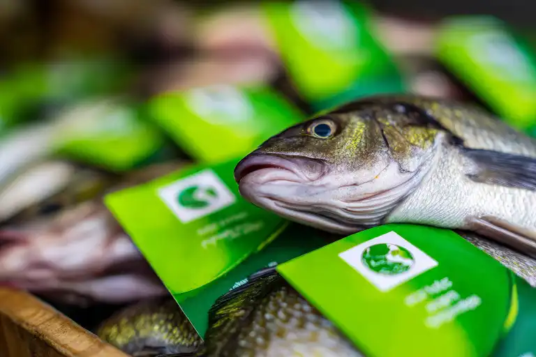 Achats dans la transformation des aliments