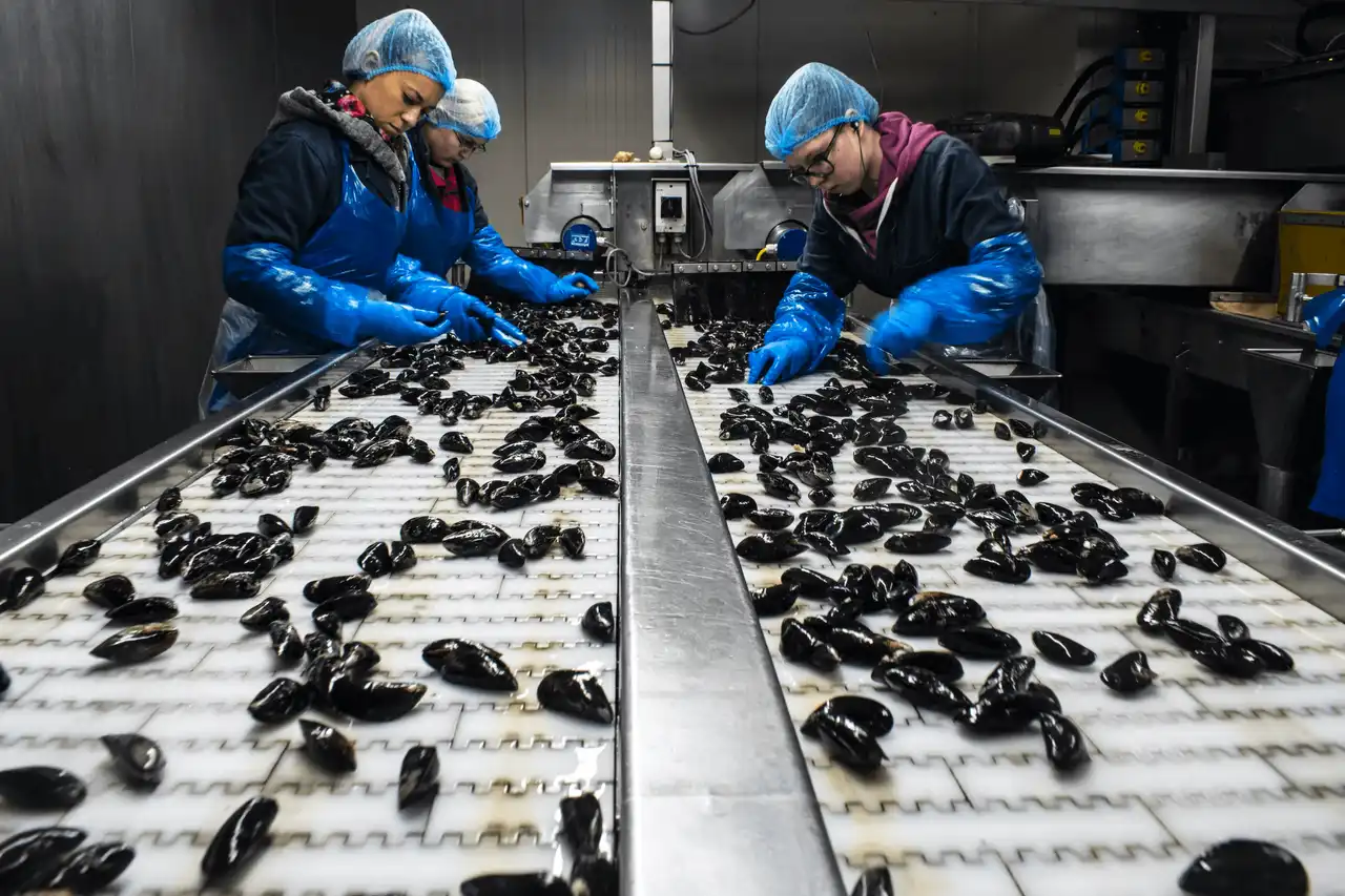 Mission technique : La pêche et ses produits