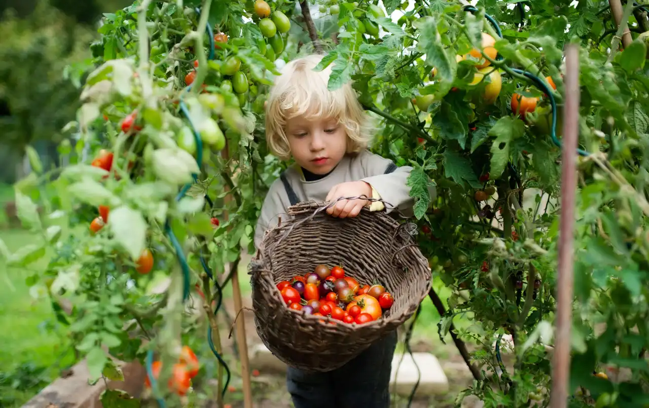Aliments, Alimentation, et Durabilité, dans l'UE