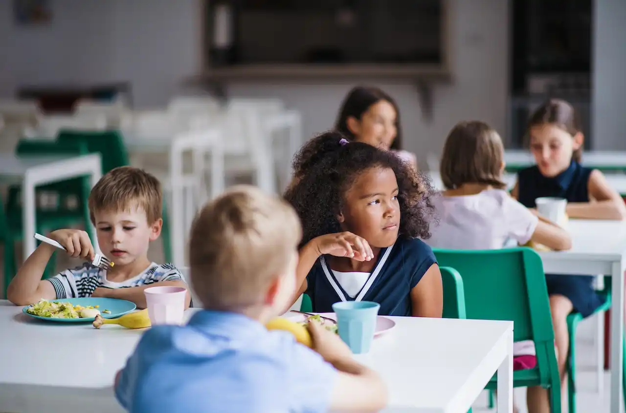 Mission technique: Alimentation scolaire