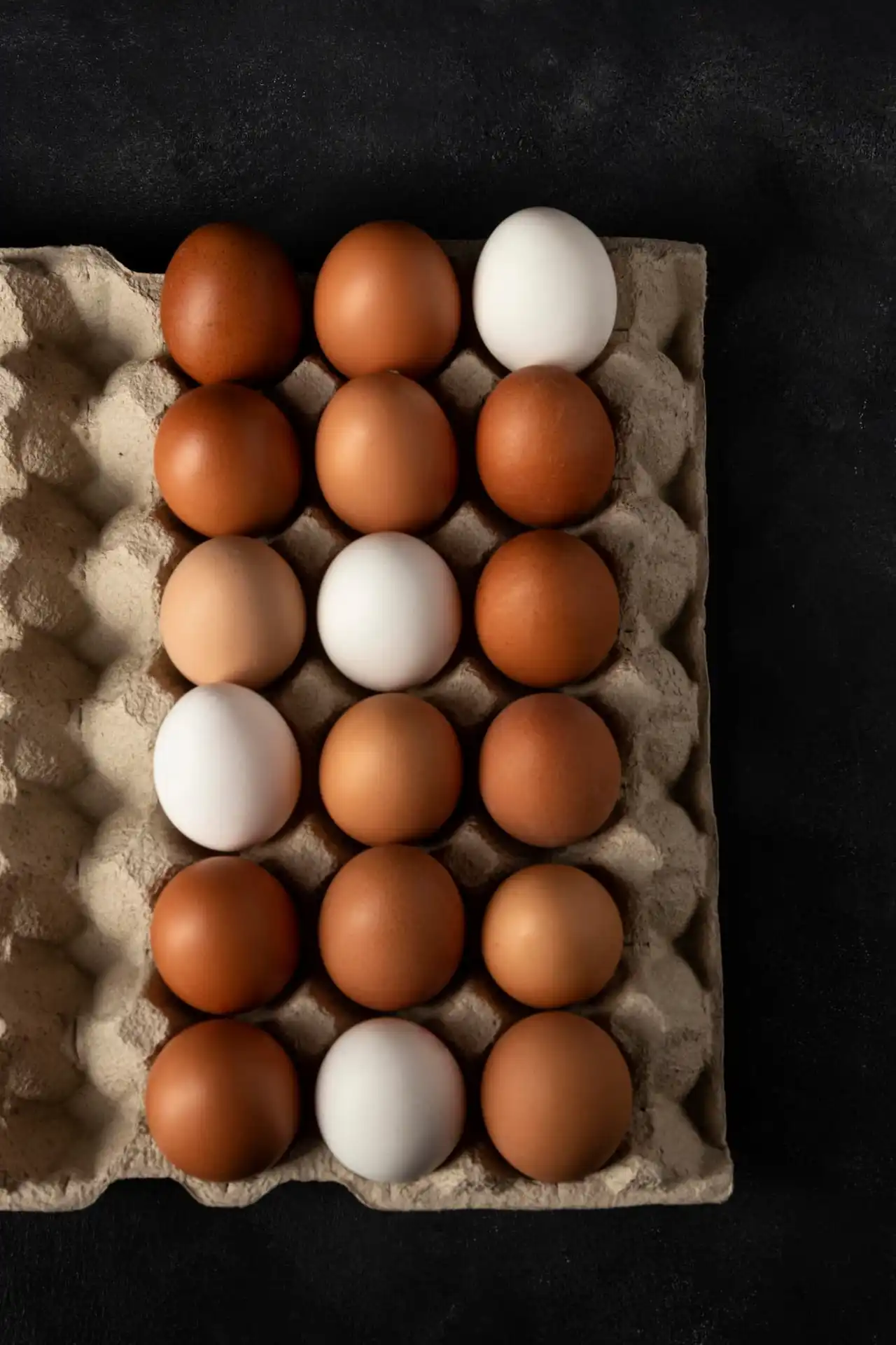Mission technique: Oeufs et ovoproduits