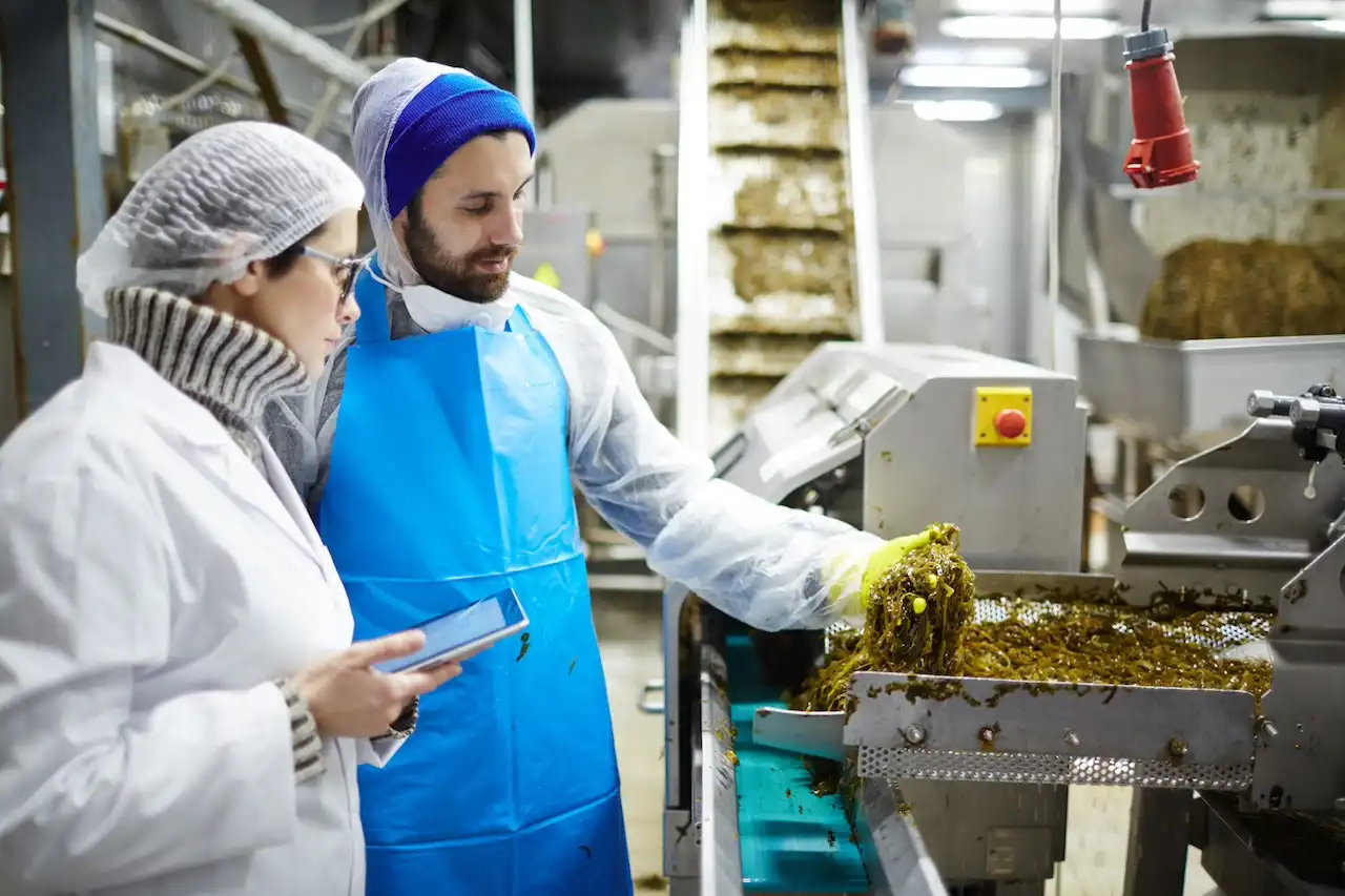 Gestion de la qualité des aliments en Espagne et dans l'UE
