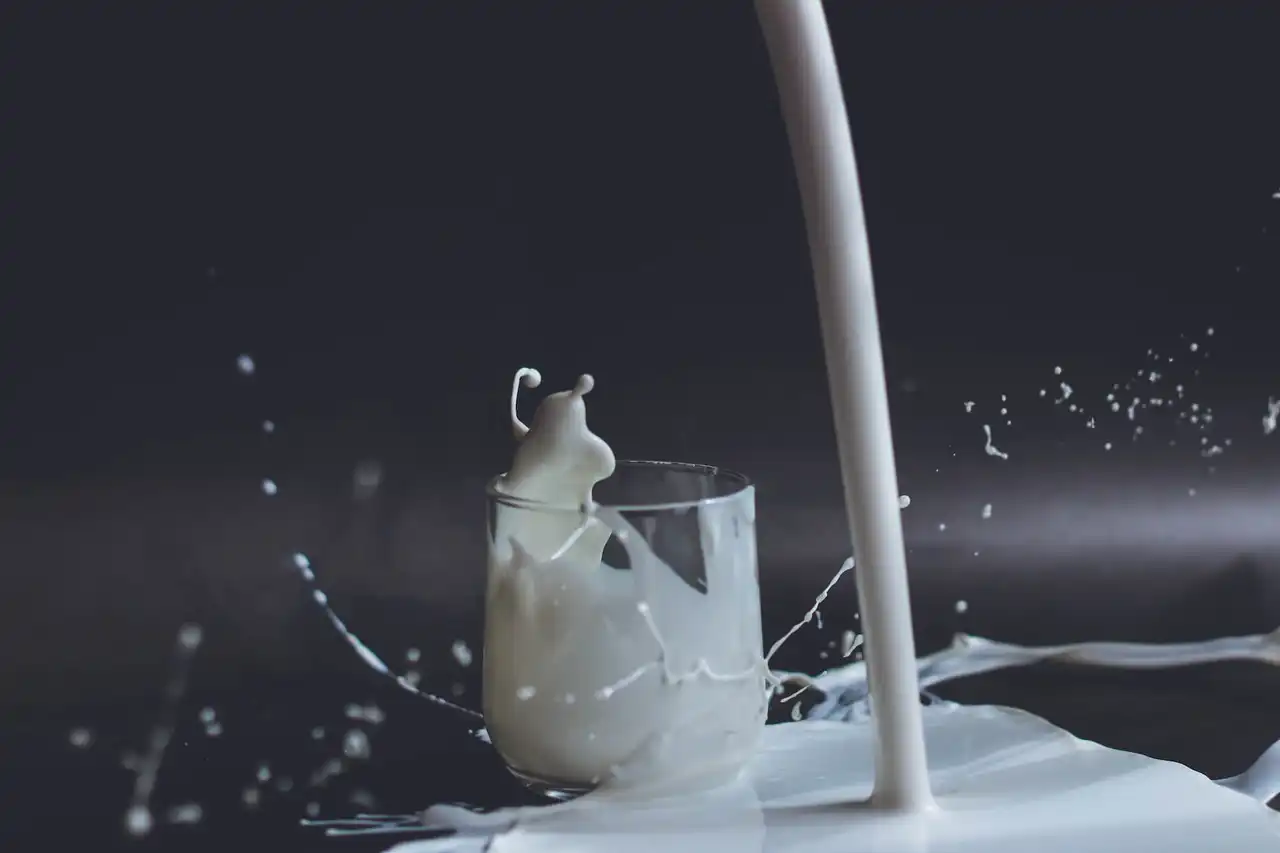 Mission technique : Lait et produits laitiers
