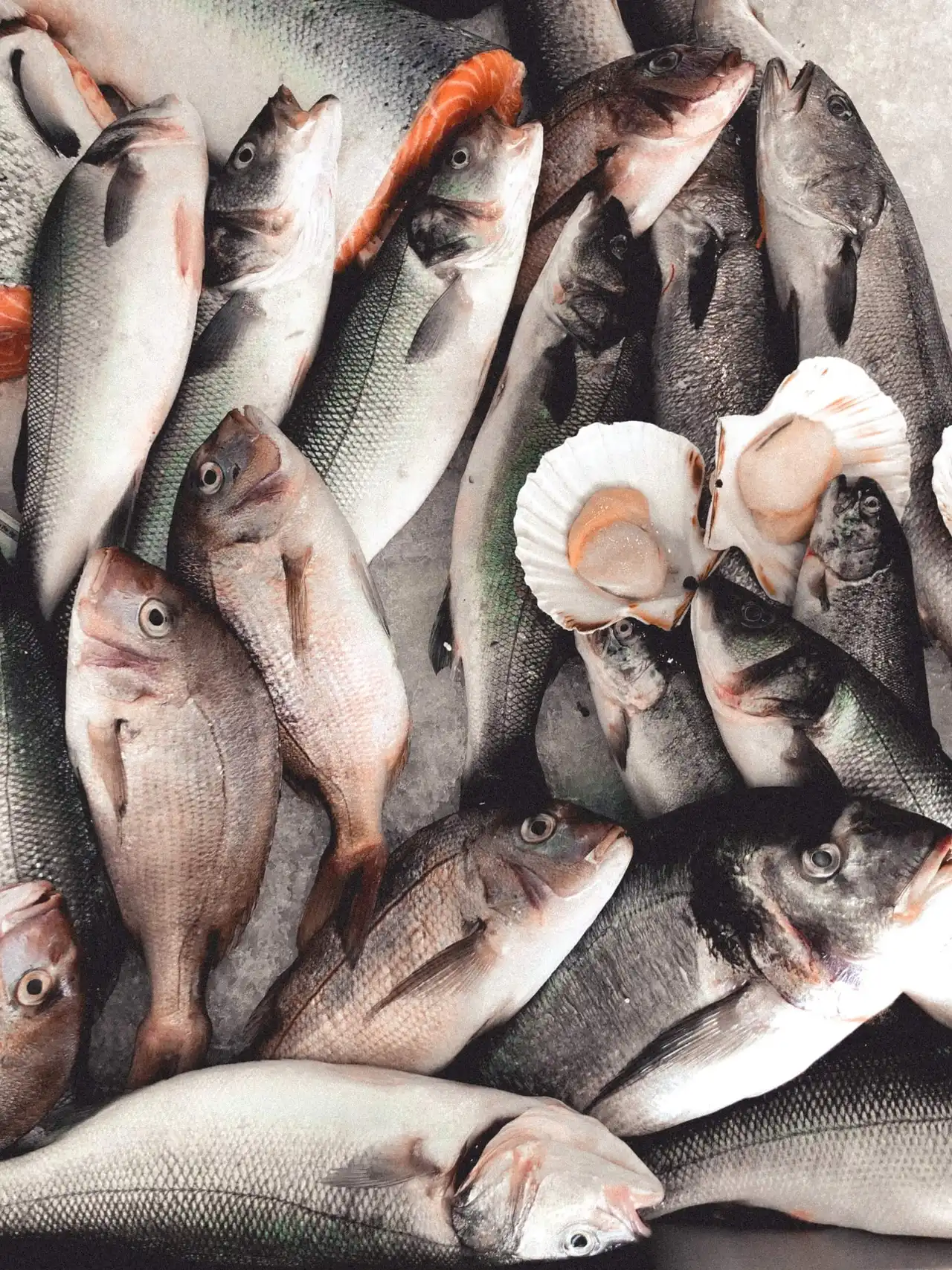 Mission technique : La pêche et ses produits