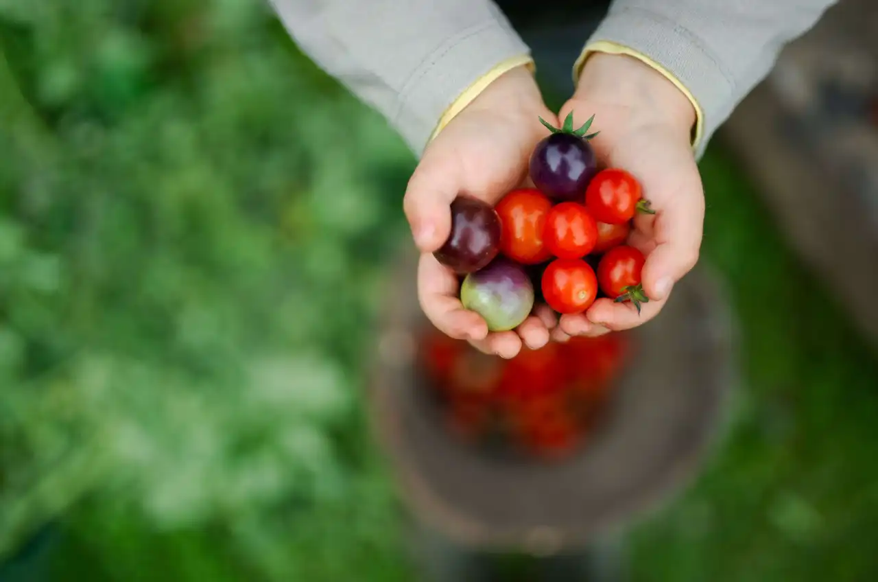 Aliments, Alimentation, et Durabilité, dans l'UE