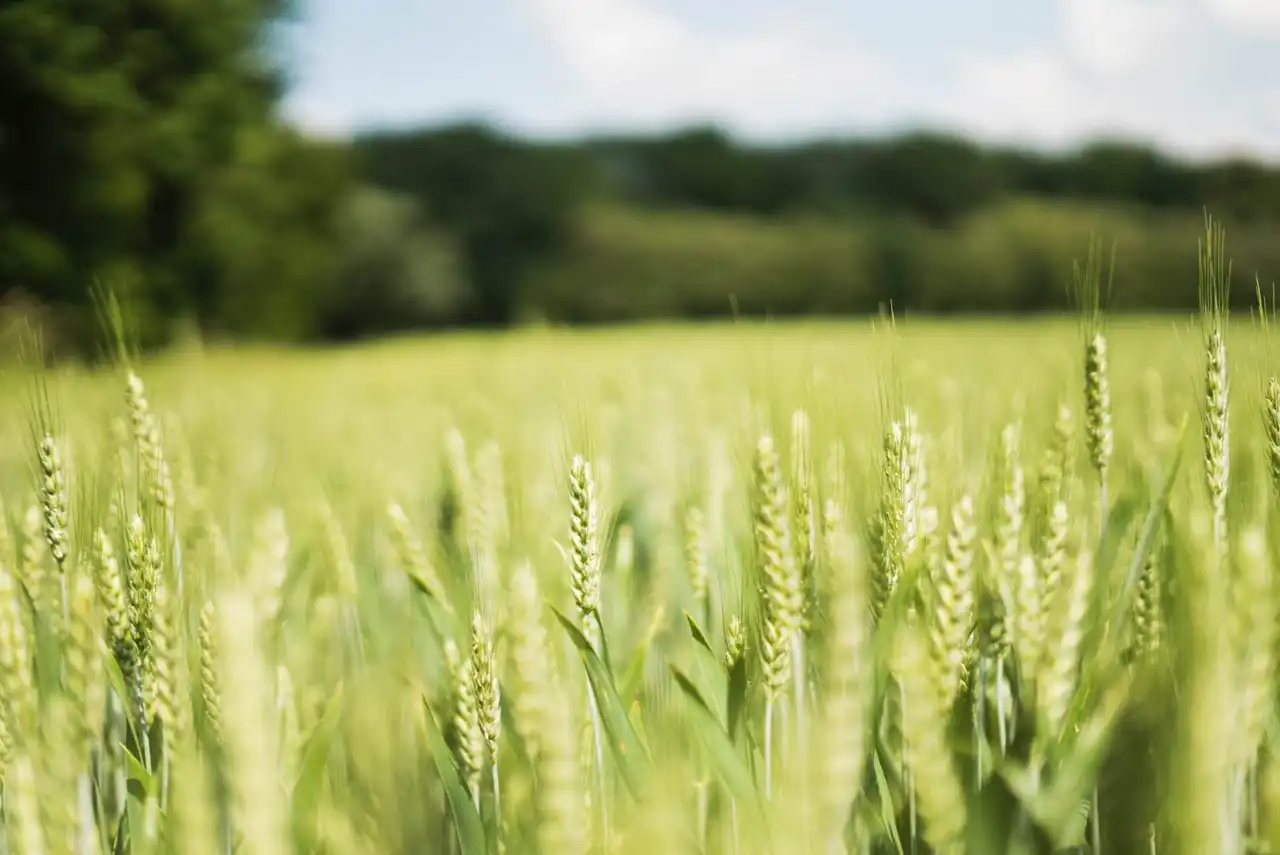 Mission Technique: Agriculture et Elevage