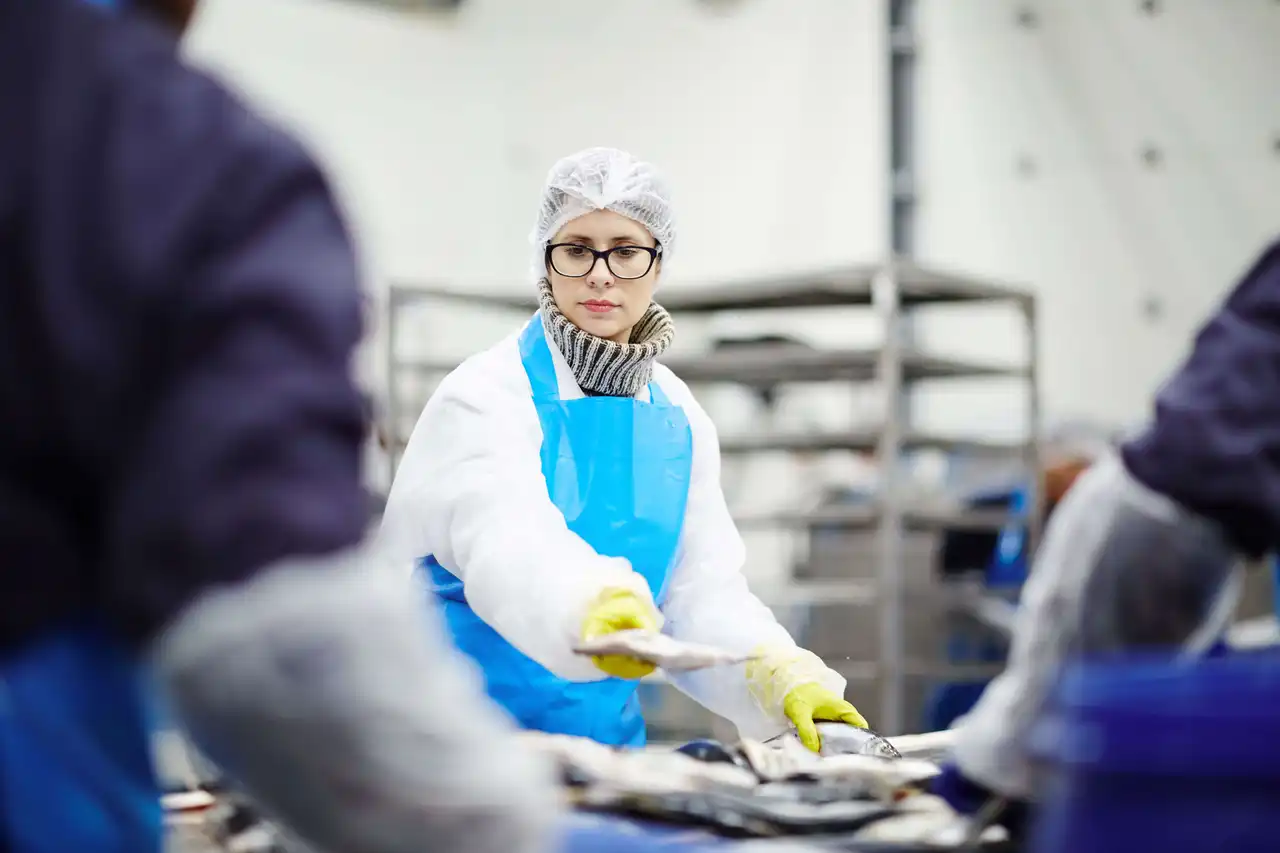 Alimentation, Technologie, et Qualité des Aliments