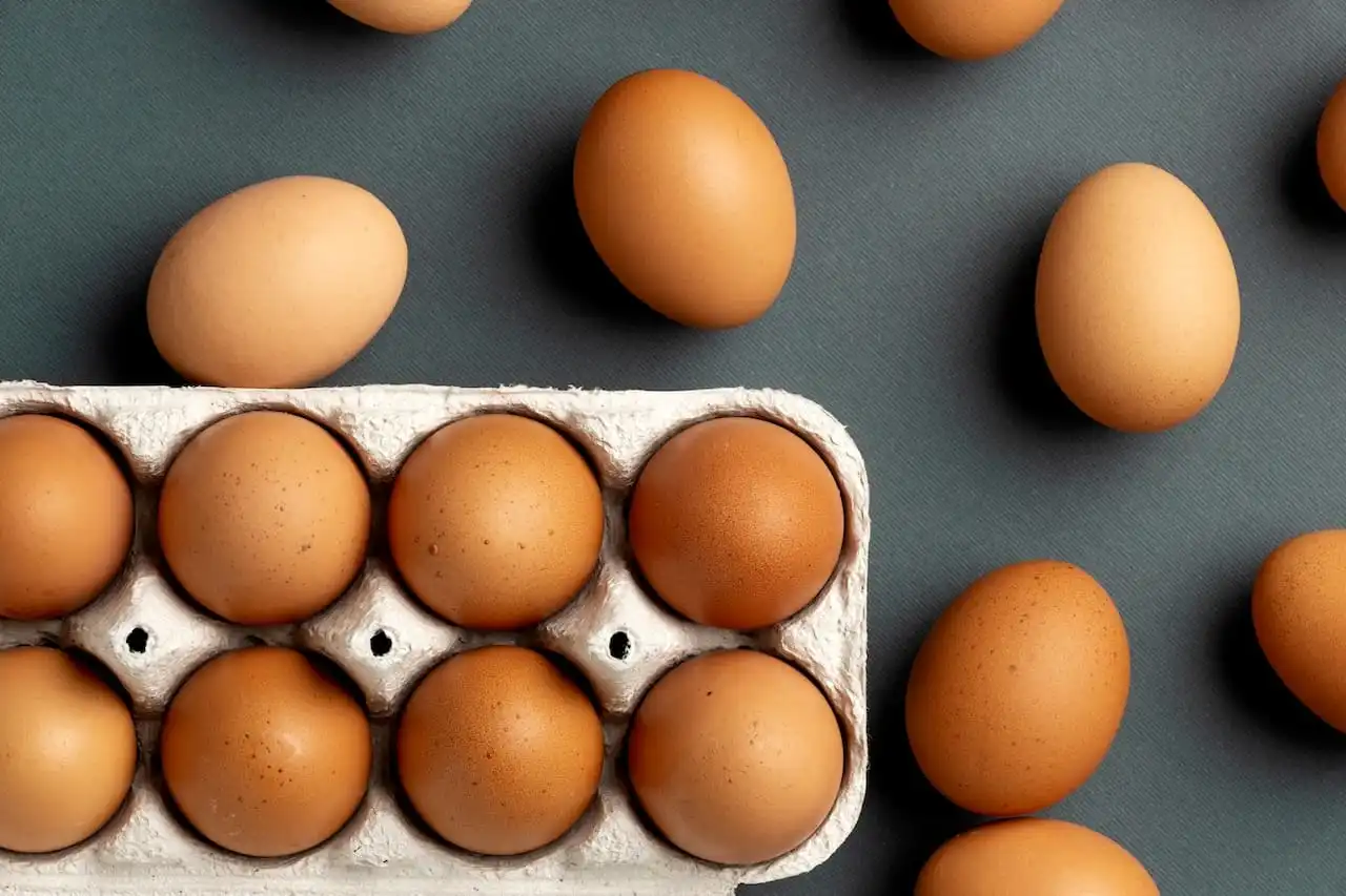 Mission technique: Oeufs et ovoproduits