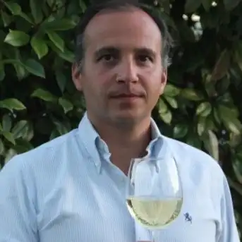 Pedro Pires de Lima Guerreiro